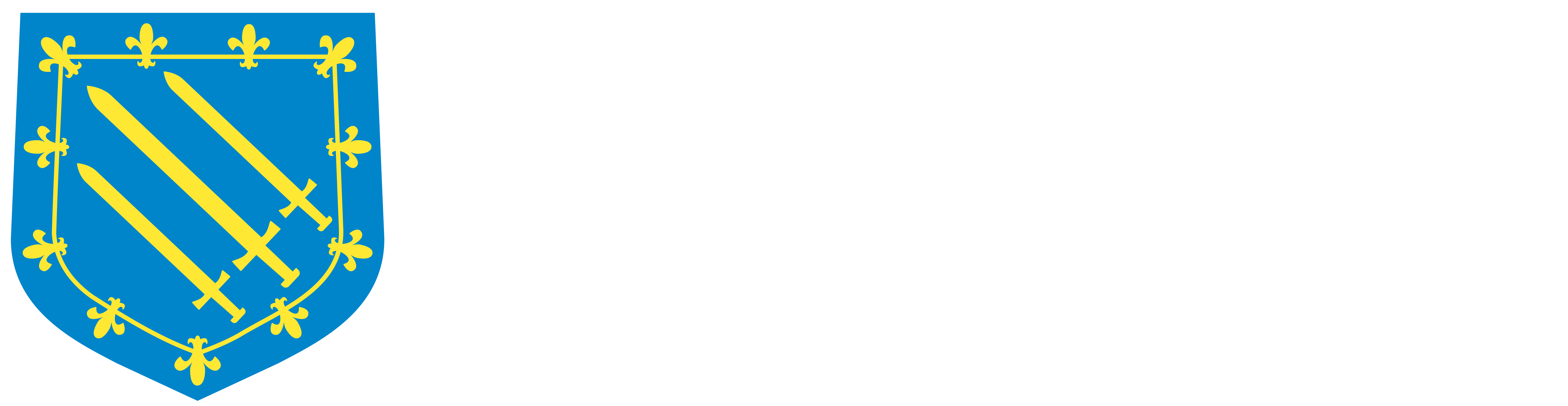 Vang kommune