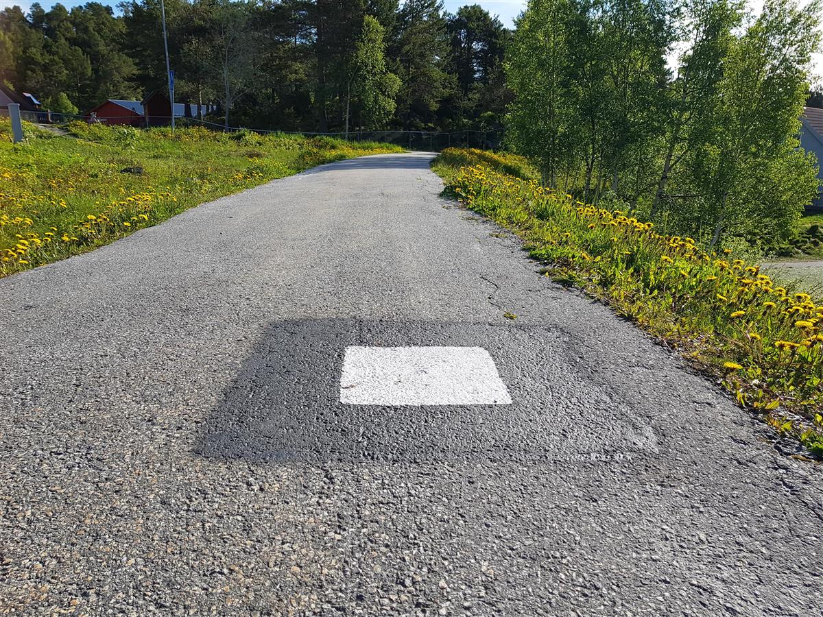 Illustrasjonsfoto av signalert punkt på gangvei. Et hvitt kvadrat er malt på en asfaltert vei..  - Klikk for stort bilete